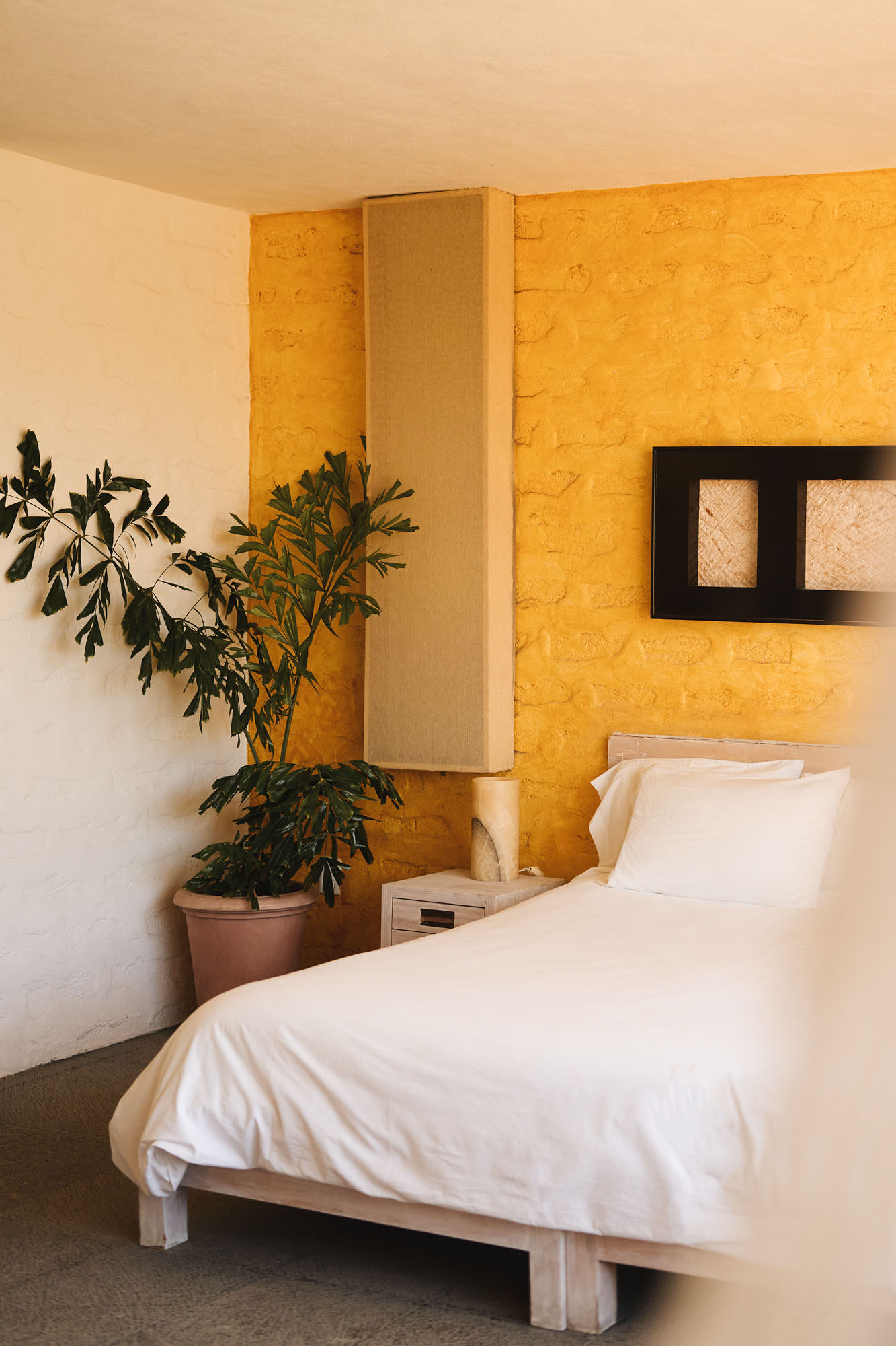 Master suite con plantas y ambientación cálida
